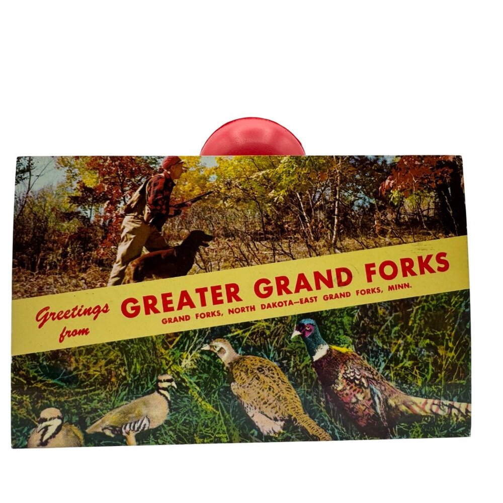 Vintage Greetings From Greater Grand Forks Postcard